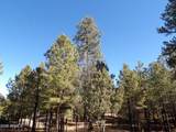 1884 Blue Sky Circle - Photo 40