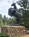 2351 Quarter Horse Trail - Photo 36
