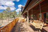 13090 Ghost Train Trail - Photo 17