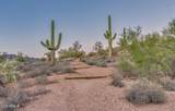 7387 Cliff Rose Trail - Photo 79
