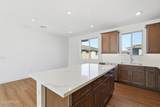 2121 Sonoran Desert Drive - Photo 12