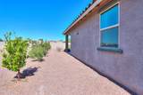 42320 Morning Glory Way - Photo 45