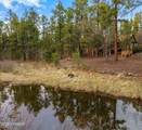 571 Pine Shadow Drive - Photo 6