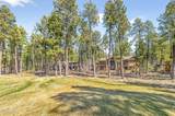 4219 Griffiths Spring - Photo 12