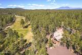4219 Griffiths Spring - Photo 13