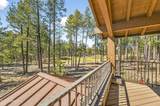 4219 Griffiths Spring - Photo 16