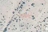 4520 Cibola (13 Lots ) Circle - Photo 2