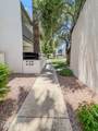 302 Monte Vista Road - Photo 13