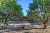 25412 183RD Place - Photo 72