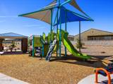 4426 Hunter Trail - Photo 51
