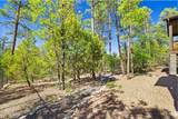 1100 Pine Oaks Drive - Photo 38