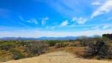 32833 137th Street - Photo 17