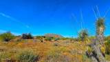 32833 137th Street - Photo 33