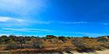 32833 137th Street - Photo 36