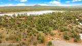 4843 Bison Trail - Photo 3