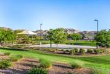 5224 Sweet Pea Terrace - Photo 69