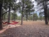 207 Blue Ridge Road - Photo 37