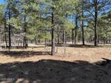 207 Blue Ridge Road - Photo 41