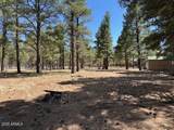 207 Blue Ridge Road - Photo 42
