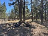 207 Blue Ridge Road - Photo 45