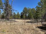 207 Blue Ridge Road - Photo 47