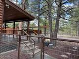 207 Blue Ridge Road - Photo 49