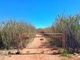 13588 Desert Dawn Drive - Photo 1