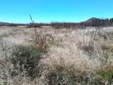 13588 Desert Dawn Drive - Photo 11