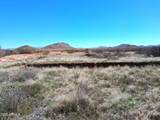 13588 Desert Dawn Drive - Photo 12