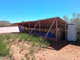 13588 Desert Dawn Drive - Photo 14