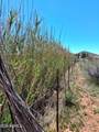 13588 Desert Dawn Drive - Photo 2