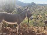 00XXX Lake Pleasant / Cow Creek Road - Photo 18