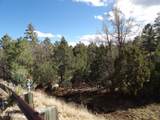 3642 Pinehurst Drive - Photo 5