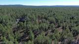 2875 Timber Pine Lane - Photo 1