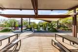 3557 Tina Drive - Photo 39