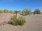 250 Targa Trail Lane - Photo 13