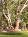 1225 Willow Point Road - Photo 5