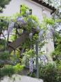 100 Hill Street - Photo 6