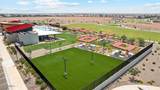 12272 Lupine Lane - Photo 49