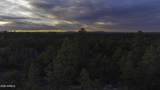 3633 Sunset Ridge Loop - Photo 59
