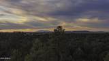 3633 Sunset Ridge Loop - Photo 60