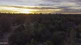 3633 Sunset Ridge Loop - Photo 63