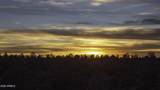3633 Sunset Ridge Loop - Photo 64