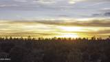 3633 Sunset Ridge Loop - Photo 65