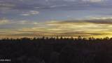3633 Sunset Ridge Loop - Photo 66