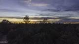 3633 Sunset Ridge Loop - Photo 71