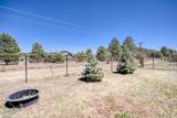 507 Skylane Road - Photo 29