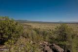 42320 Walk About Trail - Photo 62