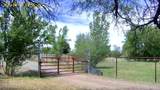 1226 Peterson Road - Photo 23