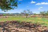 1226 Peterson Road - Photo 30
